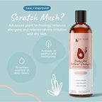 Cat grooming session with gentle rosemary pet shampoo