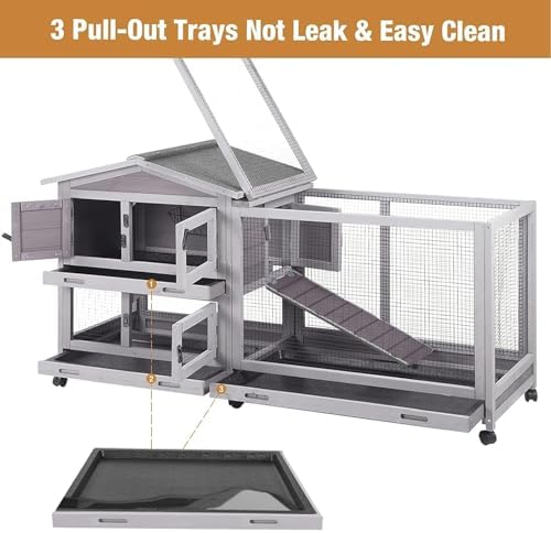 Complete gutinneen pet hutch setup with included accessories
