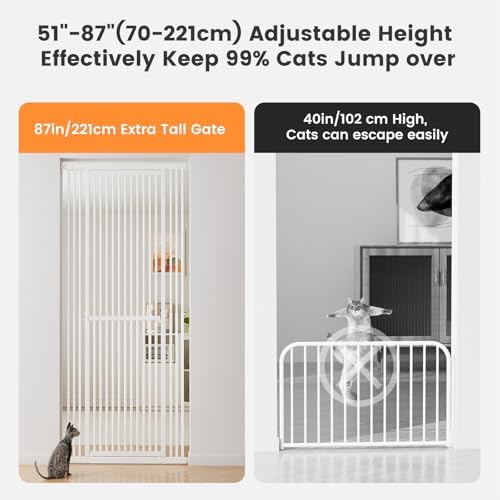 Close up view of the one handed dual action release latch on the pet gate.