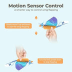 Go Go Bird remote control bird toy packaging and contents
