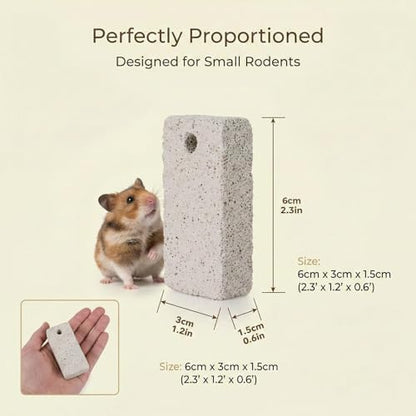 RAINFLOW bunny hamster chinchilla dental care lava bites multi pack assortment