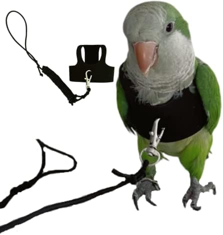 Parrot wearing Barn Eleven bird flight suit