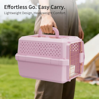 Rizzari heavy duty plastic puppy carrier for safe car travel