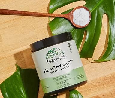 Terra Origin Healthy Gut wellness supplement packaging box and container