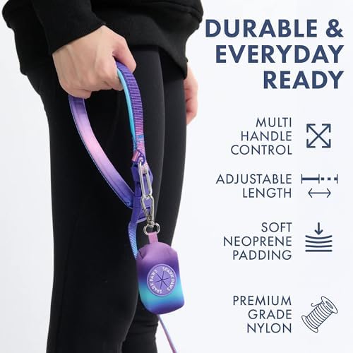 Spark Paws 90s Retro style four in one dog walking lead kit