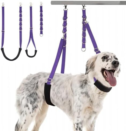 Discpetsec pet grooming restraint set padded belly band