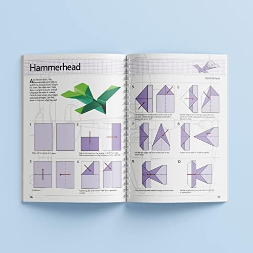 Back cover of the hinkler classic paper planes kit detailing the twenty unique designs