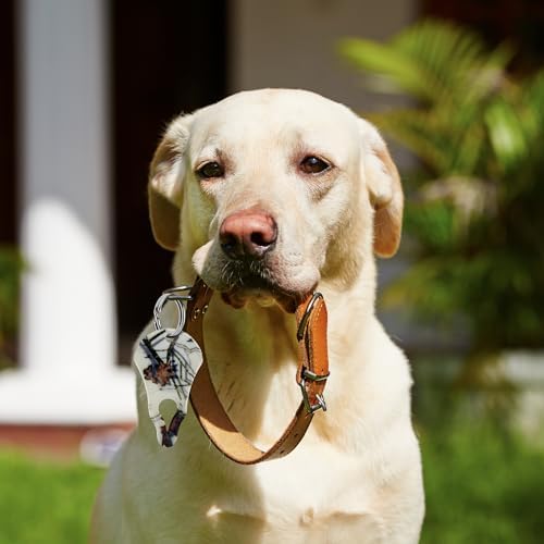 The Original Tick Key used on a pet collar for size reference.