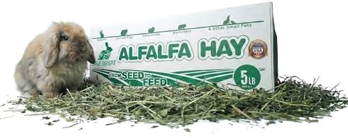 Premium sun-cured alfalfa hay soft leaf texture for growing rabbits