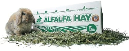 Premium sun-cured alfalfa hay soft leaf texture for growing rabbits