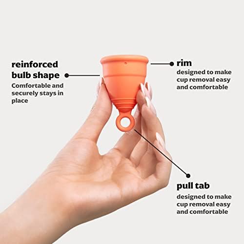 Comparison of Small and Large Zeerocup menstrual cups for size reference.