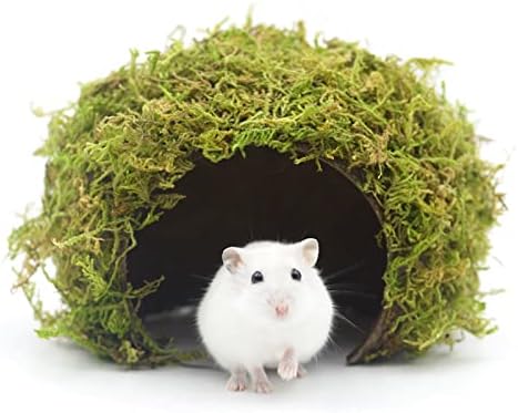 Hamster Hideout - Large, Natural Moss, Handcrafted for Syrian Hamsters, Rats & Guinea Pigs, Safe & Eco-Friendly - Image 2