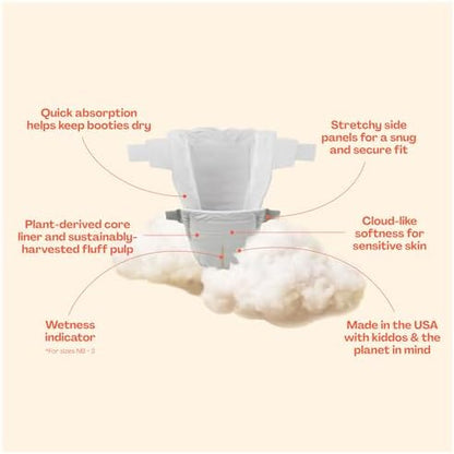Hello Bello disposable baby diapers eighty four count box display
