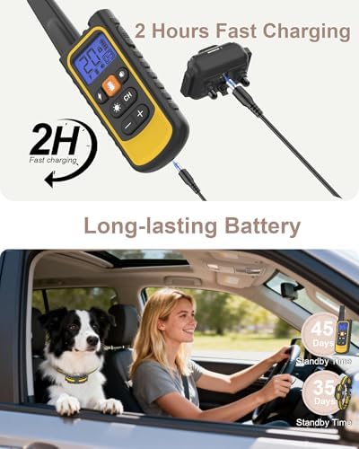 Close up view of the ergonomic dog training remote control and collar accessory.