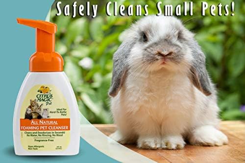 Foaming texture of Citrus Magic pet cleanser dispensed on hand