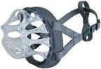 Baskerville Invisa clear muzzle showing facial visibility