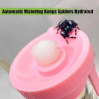 Jumping Spider Water Dispenser, Magnetic Hanging Feeder,Suitable for Jumping Spiders,Tarantulas, Praying Mantises,Arboreal Animals, and Other Small Animal Enclosure Accessories (Pink, 5ML) - Image 3