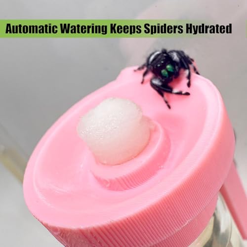 Jumping Spider Water Dispenser, Magnetic Hanging Feeder,Suitable for Jumping Spiders,Tarantulas, Praying Mantises,Arboreal Animals, and Other Small Animal Enclosure Accessories (Pink, 5ML) - Image 3
