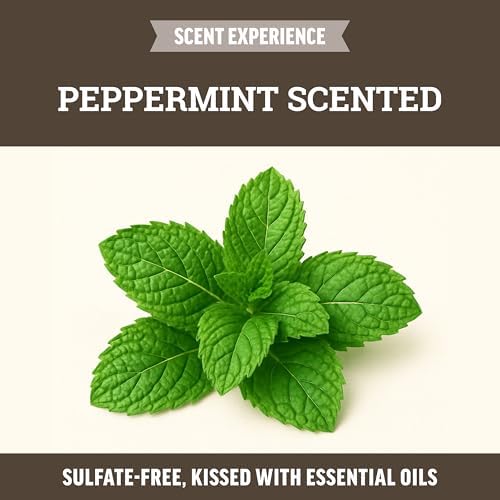 Lice Queen Knot Today non-toxic peppermint oil hair repellent spray