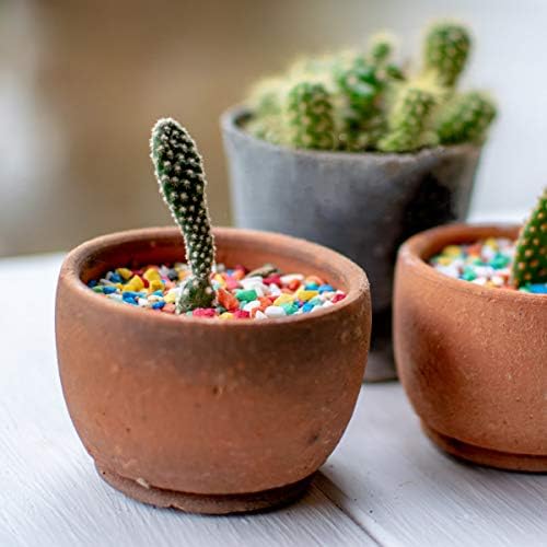 2.2 pound pack of Toypopor confetti gravel pebbles
