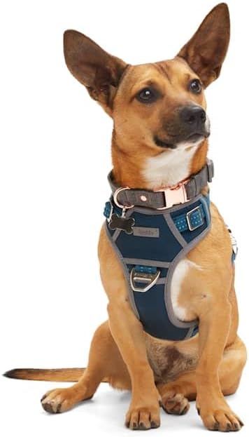 Reddy Canvas Dog Harness Navy Large front view showing metal buckle