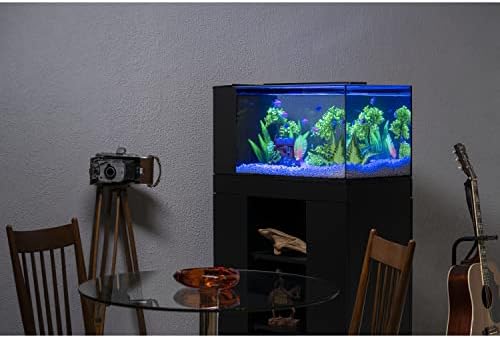 GloFish multicolored gems inside fish tank setup