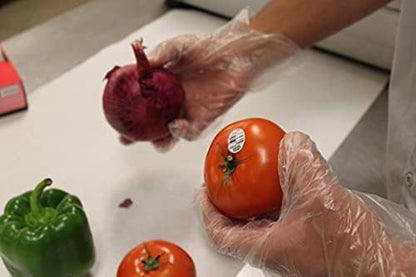 Starryshine transparent powder-free gloves for kitchen and restaurant use