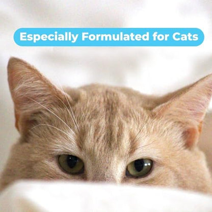 Authentic USA imported Pawtitas hypoallergenic cat wash packaging on display