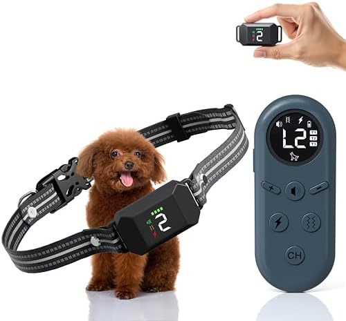Waterproof pet training collar receiver showing the adjustable black nylon strap