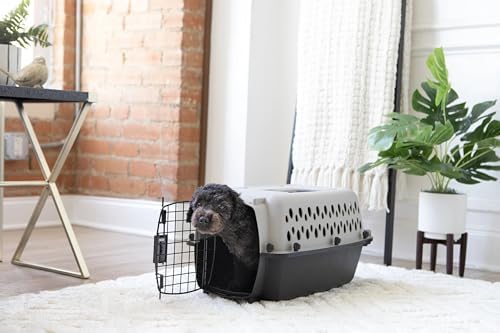 Extra small hard-sided dog crate placed securely on a car seat for travel.