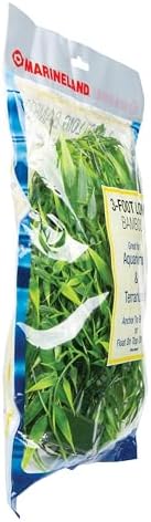 Marineland 3 Feet artificial bamboo strand utilized as realistic vertical climbing decor in a reptile terrarium.