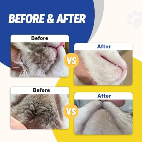 Wiping away the no-rinse pet foam from a cat's chin using a tissue