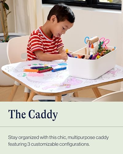 Lalo storage caddy with removable dividers