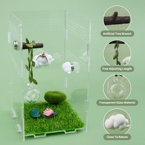 4 Pcs Jumping Spider Accessories Glass Ball Habitat Cloud Platform Ledges Jumping Spider Hide for Decorating Jumping Spider Enclosure Climbing & Exploration - Image 6