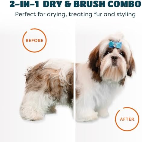 Portable Kuubia pet hair dryer for at-home grooming