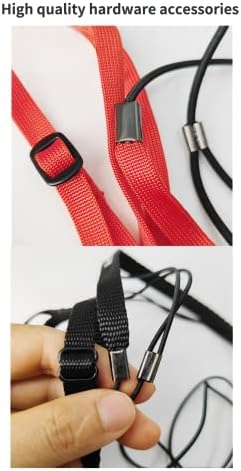 Complete bird traction leash and harness set packaging view