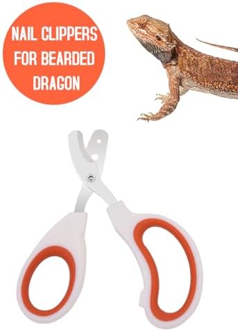 Close up view of the stainless steel blades on the Engorgio lizard scissors.
