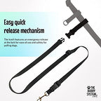 The Buddy System dog leash packaging and details