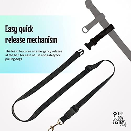 The Buddy System dog leash packaging and details