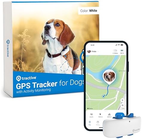 Tractive GPS tracker attached to a dog collar