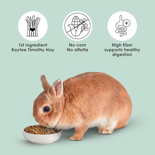 Kaytee adult rabbit food seal and freshness features