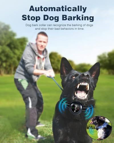 IP67 waterproof pet training collar receiver being tested in wet outdoor conditions.