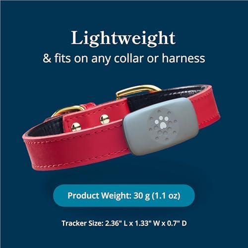 Lightweight Petivity activity monitor tracking steps and calories burned for pet health