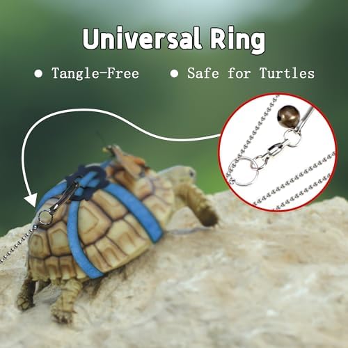 Premium imported pet tortoise control leash set laid flat