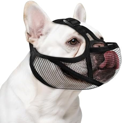 Adjustable short snout dog muzzle with eye holes