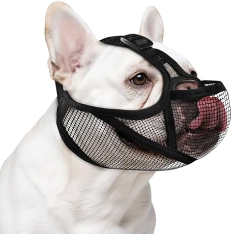 Adjustable short snout dog muzzle with eye holes