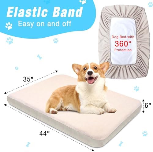 Durable scratch resistant dog sheet on large cushion