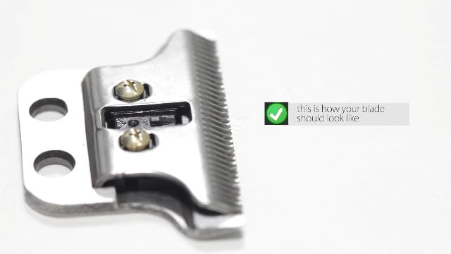 Detailed view of zero-overlap capable trimmer blade
