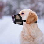 Packaging of authentic Evollax imported dog muzzle