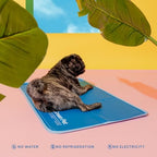 Non toxic material cooling pet pad close up details